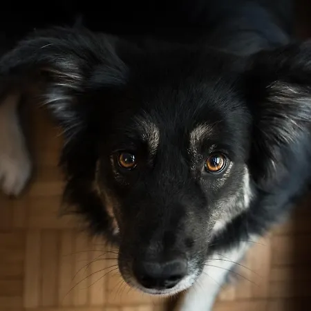 Appartamento Riva San Zeno - Mood *