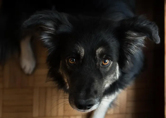 Lägenhet Riva San Zeno - Mood *